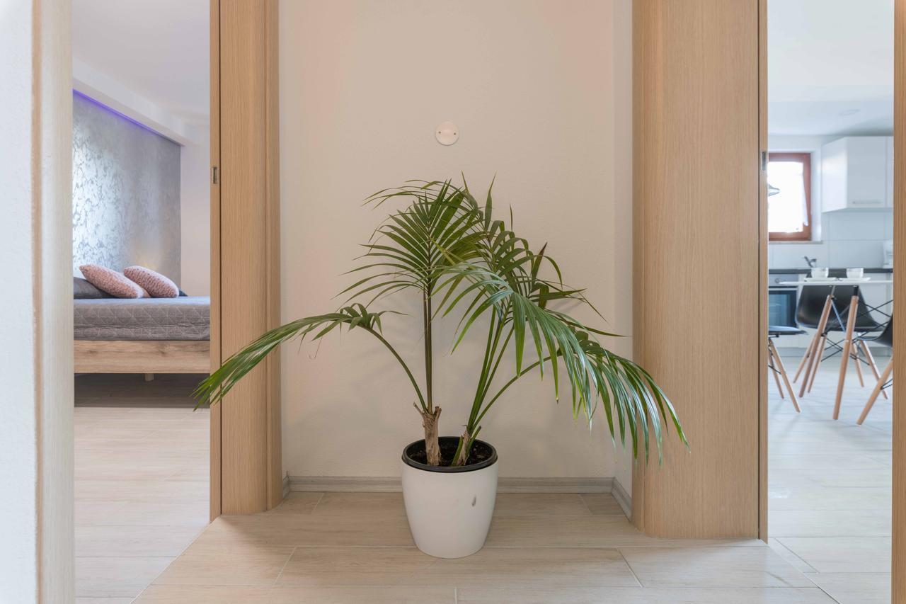 Apartments Villa Tre Marie Ρόβινι Εξωτερικό φωτογραφία
